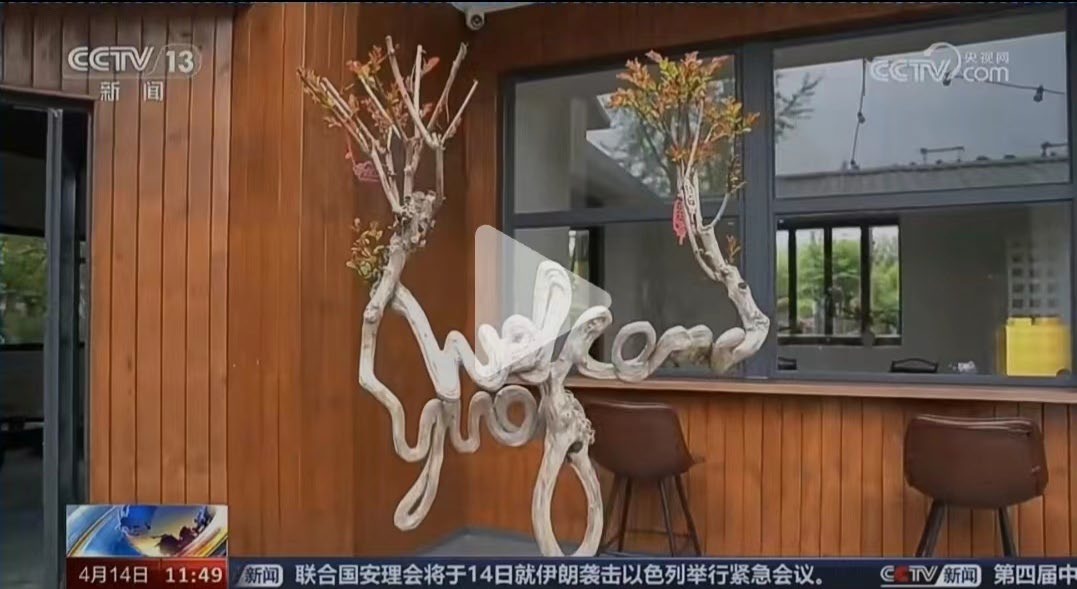 央视新闻报道
