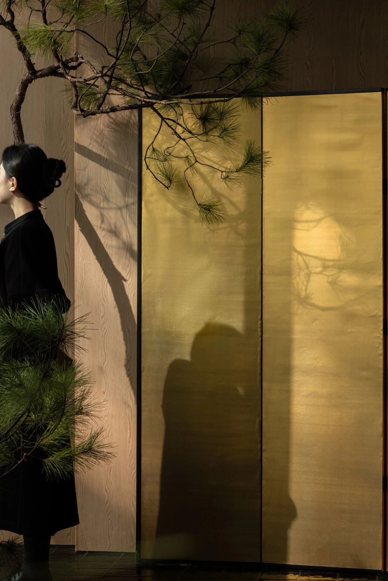 松与屏&nbsp;Pine and Screen&nbsp;&nbsp;©ACT STUDIO